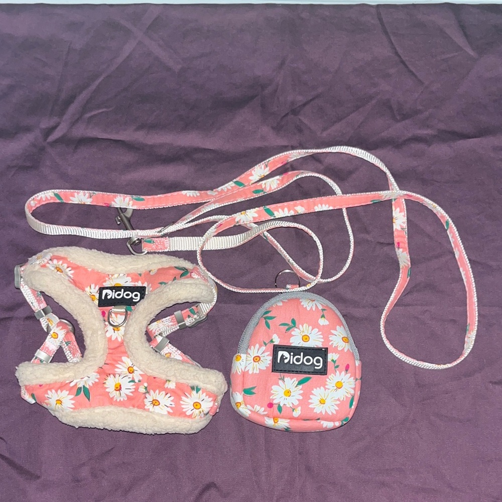 Slightly Used Didog dog set.